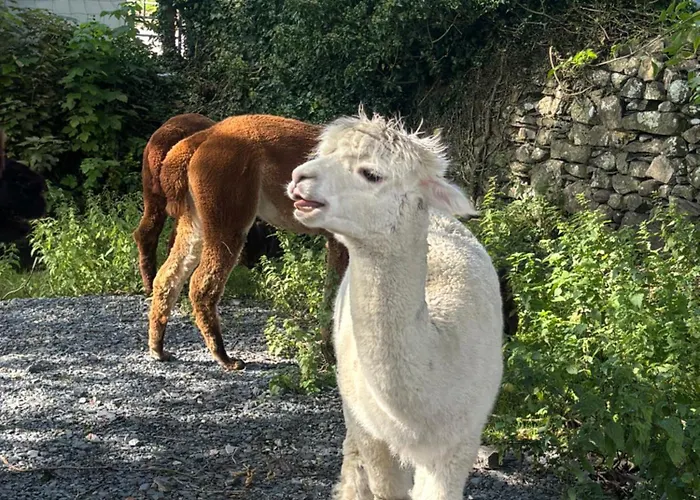 Grayrigge Croft Grange-over-Sands